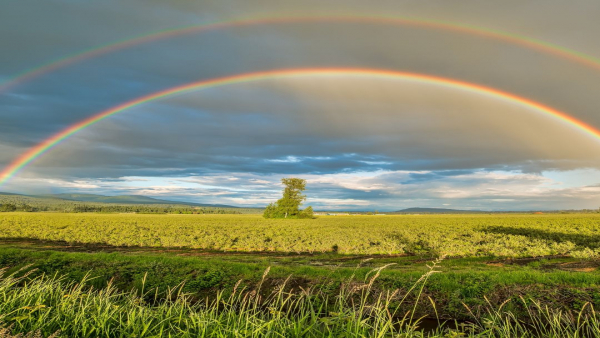 収入アップだけじゃない！「副業・Wワーク」で広がる介護・看護職の可能性